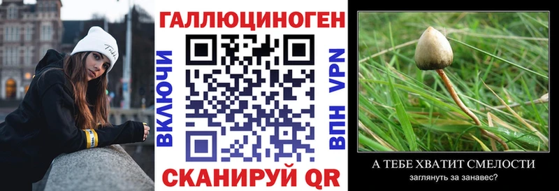 Галлюциногенные грибы Cubensis  Красково 
